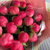 секс знакомства в г Салехард
