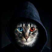 секс знакомства в г Днепр