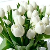 секс знакомства в г Конотоп