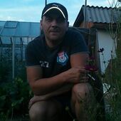 секс знакомства в г Киров