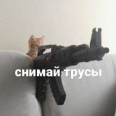 секс знакомства в г Тюмень