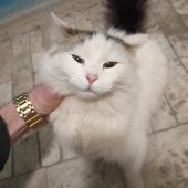 секс знакомства в г Ровно