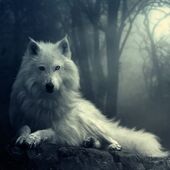 секс знакомства в г Ставрополь