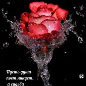 секс знакомства в г Якутск