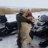 секс знакомства в г Зима