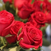 секс знакомства в г Ноябрьск