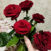 секс знакомства в г Санкт-Петербург
