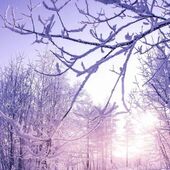 секс знакомства в г Томск