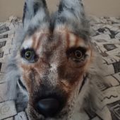 секс знакомства в г Бийск