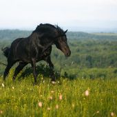 секс знакомства в г Раменское