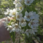 секс знакомства в г Нижний Новгород