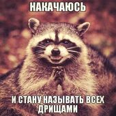 секс знакомства в г Архангельск