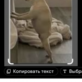 секс знакомства в г Усть-Каменогорск