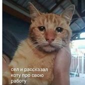 секс знакомства в г Старый Оскол