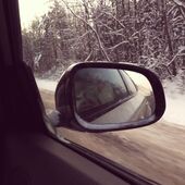секс знакомства в г Белгород