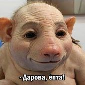 секс знакомства в г Оренбург
