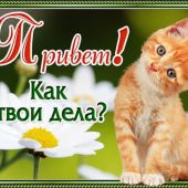 секс знакомства в г Каменск-Шахтинский
