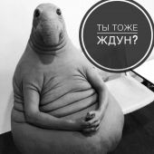 секс знакомства в г Тверь