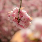секс знакомства в г Орел