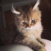 секс знакомства в г Томск