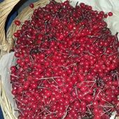 секс знакомства в г Королев