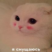 секс знакомства в г Владивосток