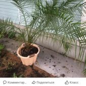 секс знакомства в г Омск