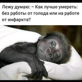 секс знакомства в г Львов