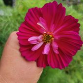 секс знакомства в г Иркутск
