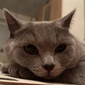 секс знакомства в г Апрелевка