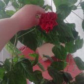 секс знакомства в г Новокузнецк