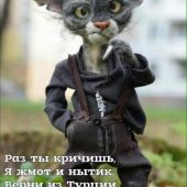 секс знакомства в г Калининград