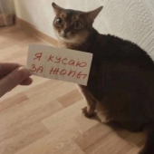 секс знакомства в г Минск