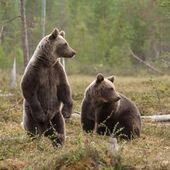 секс знакомства в г Лангепас