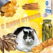 секс знакомства в г Краснодар