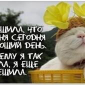 секс знакомства в г Челябинск