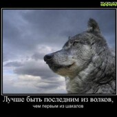 секс знакомства в г Орел