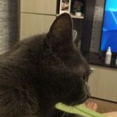 секс знакомства в г Нижний Новгород