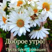 секс знакомства в г Молодечно