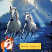 секс знакомства в г Семипалатинск