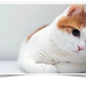 секс знакомства в г Рязань