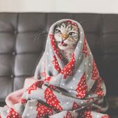 секс знакомства в г Хабаровск
