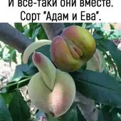 секс знакомства в г Ростов-на-Дону