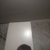 секс знакомства в г Энгельс