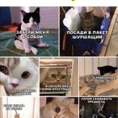 секс знакомства в г Майкоп