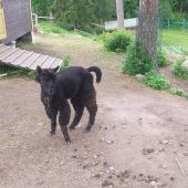секс знакомства в г Волгоград