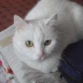 секс знакомства в г Богучаны