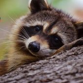 секс знакомства в г Днепр