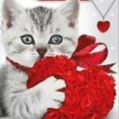 секс знакомства в г Коркино