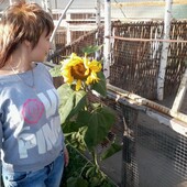 секс знакомства в г Валуйки